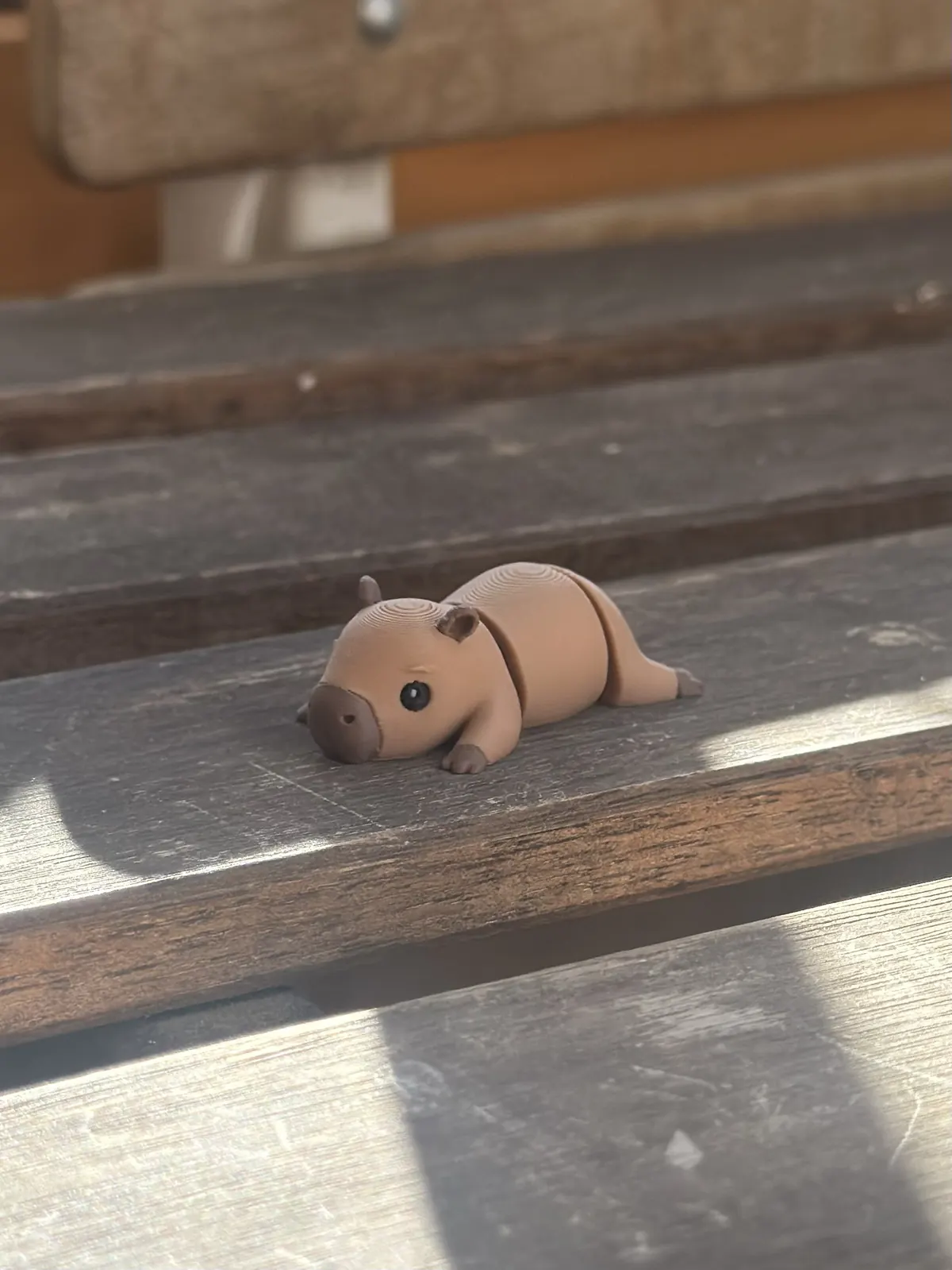 Capybara — our photo of the real toy