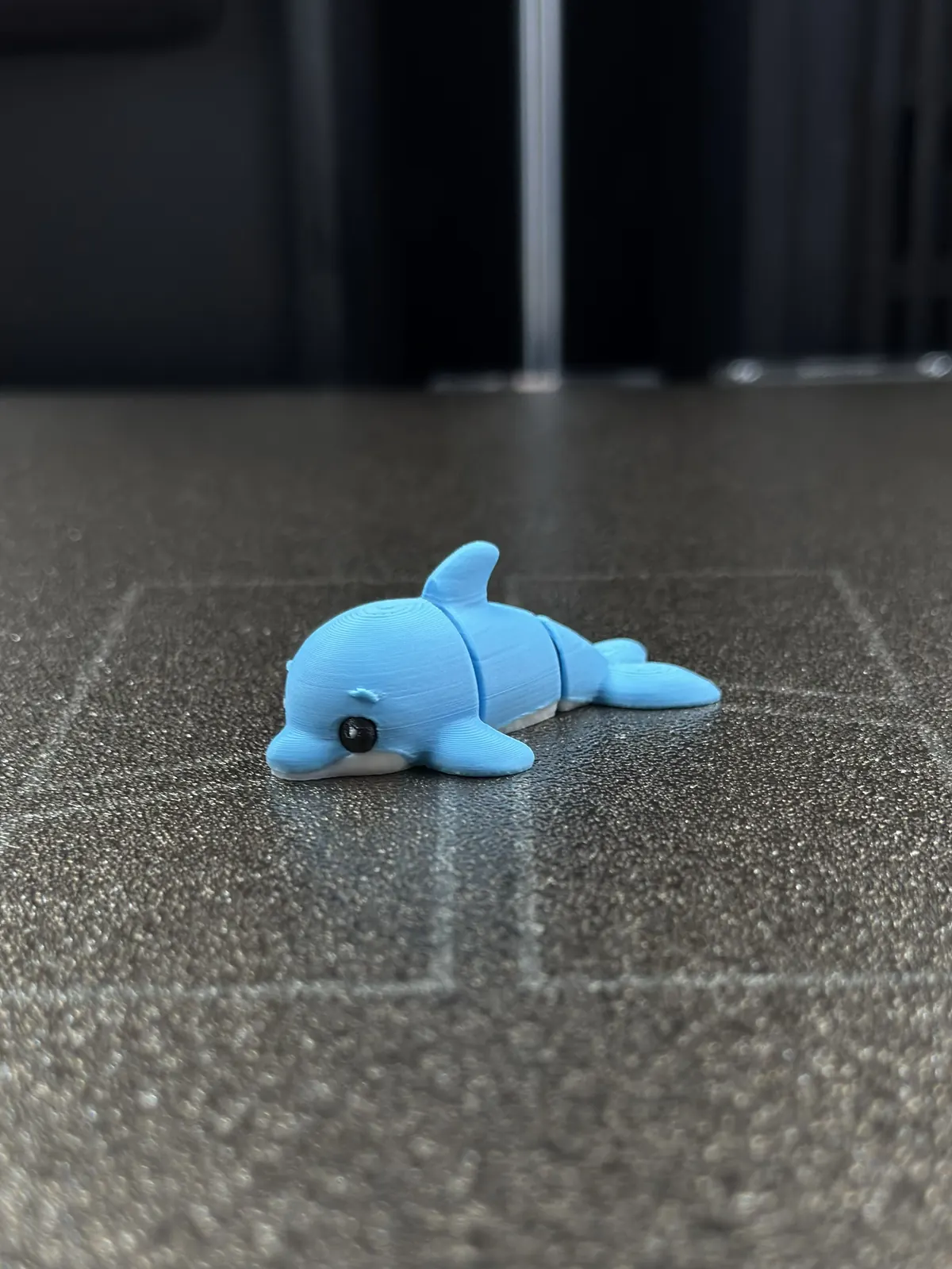 Dolphin — our photo of the real toy