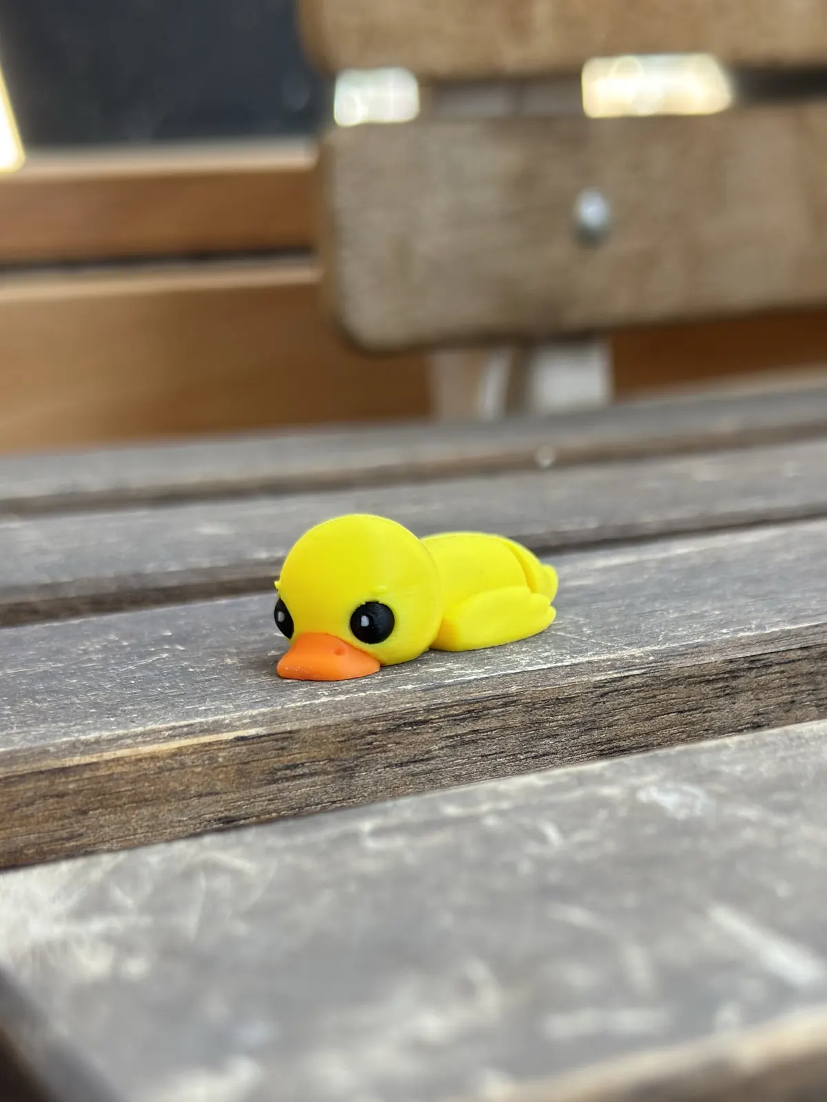 Duck — our photo of the real toy