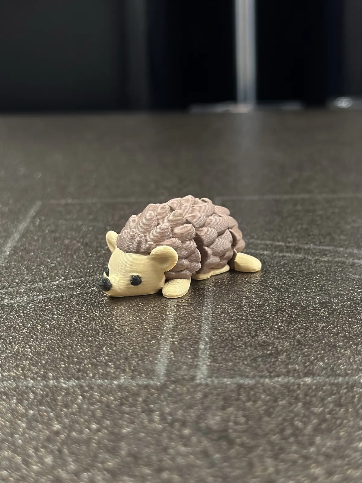 Hedgehog — our photo of the real toy