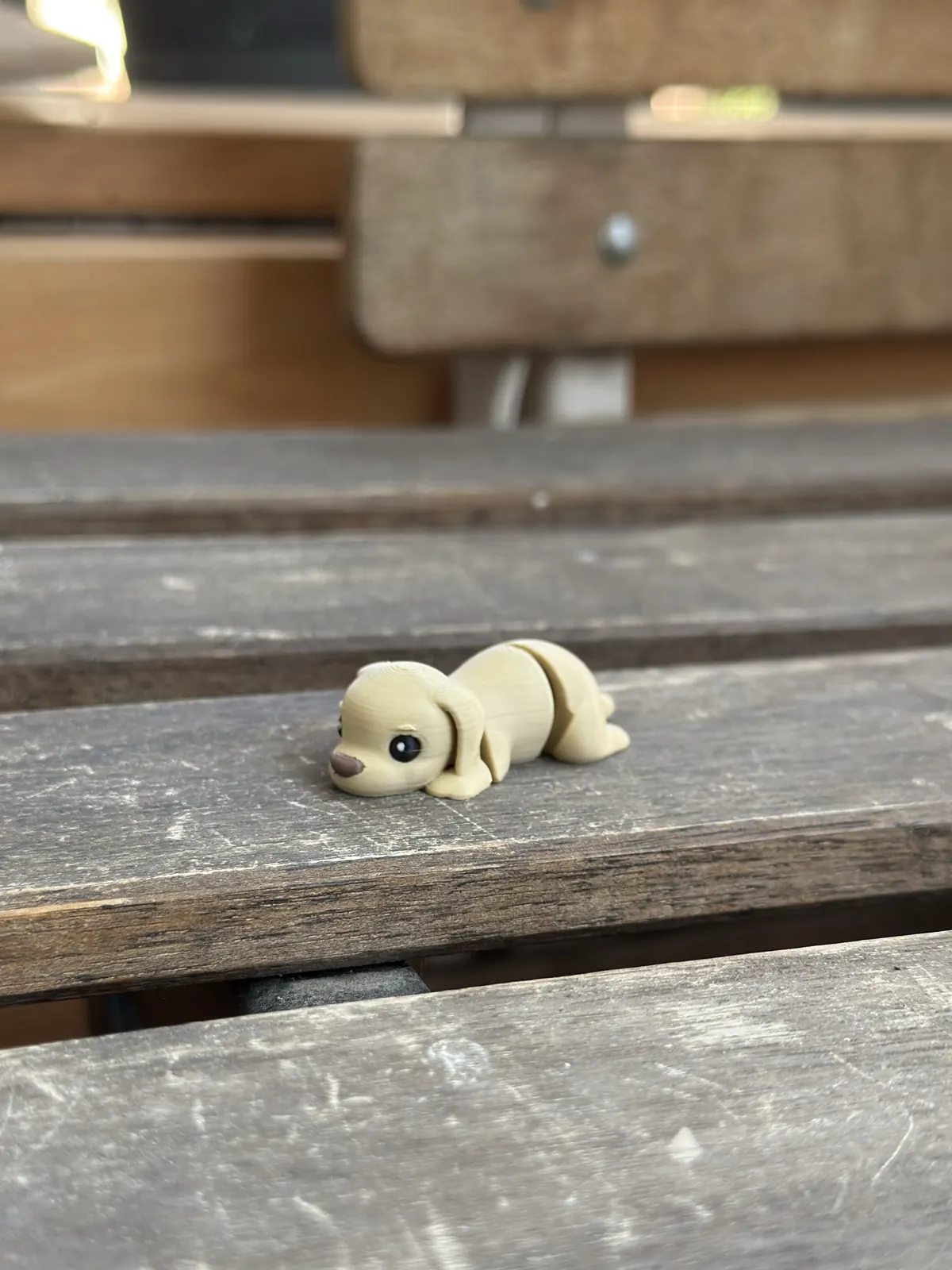 Labrador — our photo of the real toy