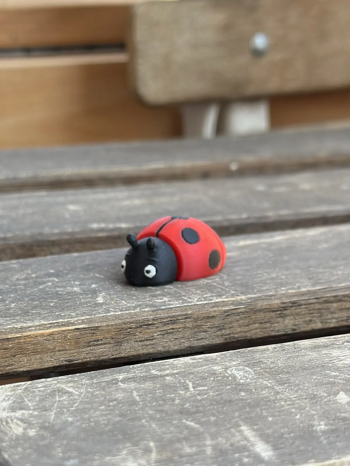 Ladybug — our photo of the real toy