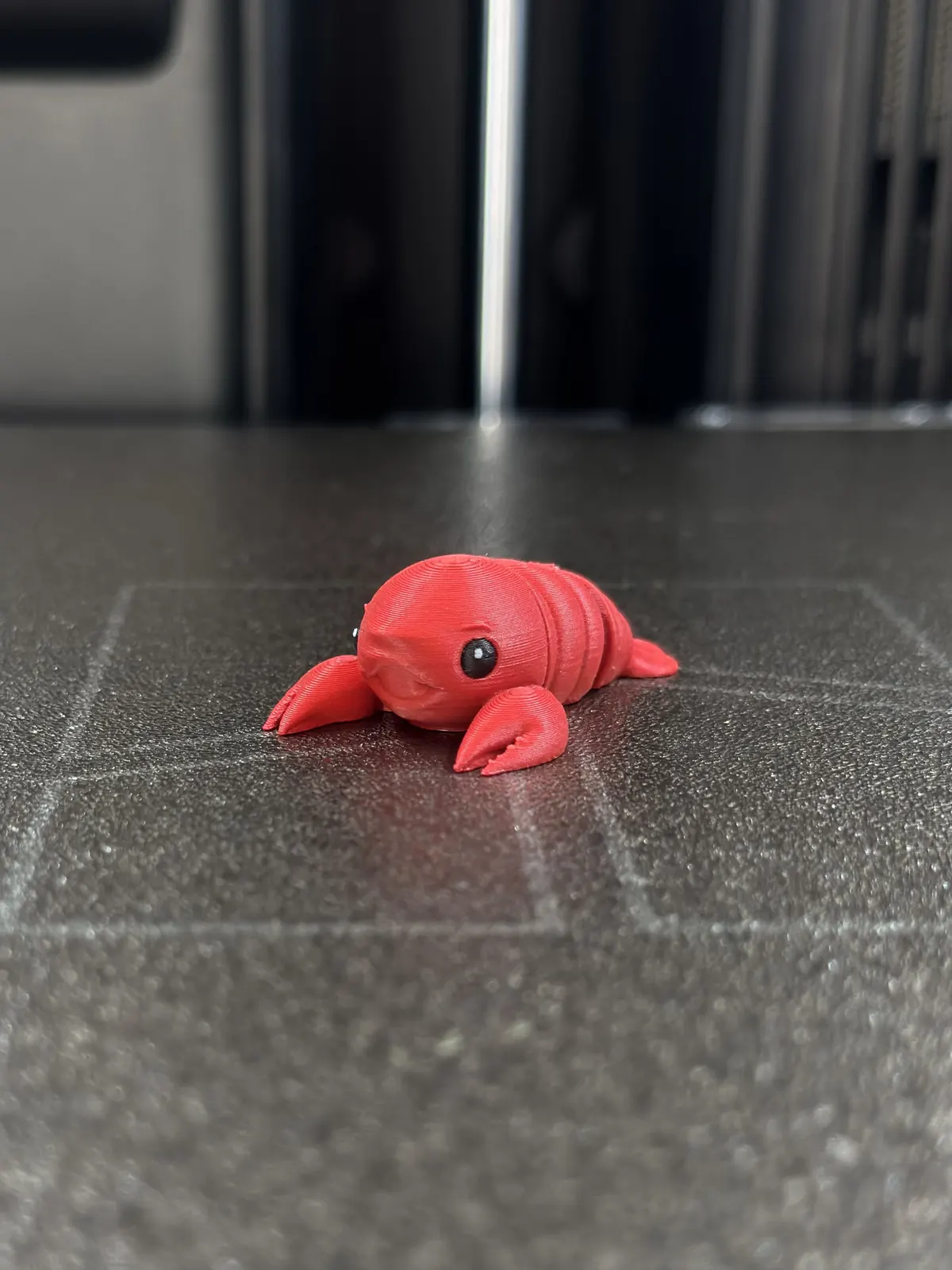 Lobster — our photo of the real toy