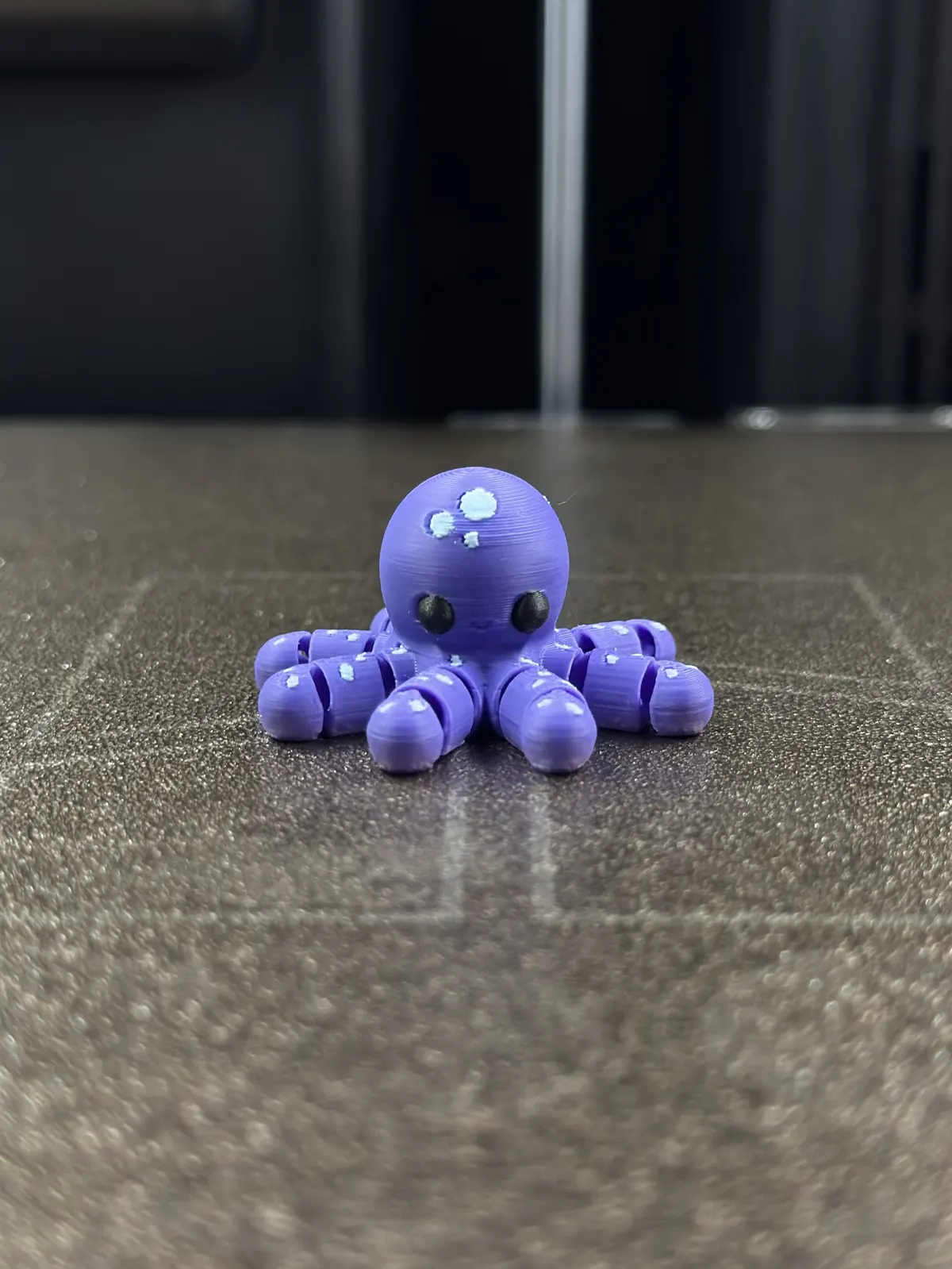 Octopus — our photo of the real toy