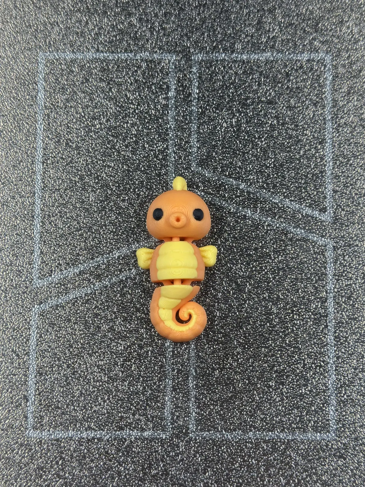 Seahorse — our photo of the real toy