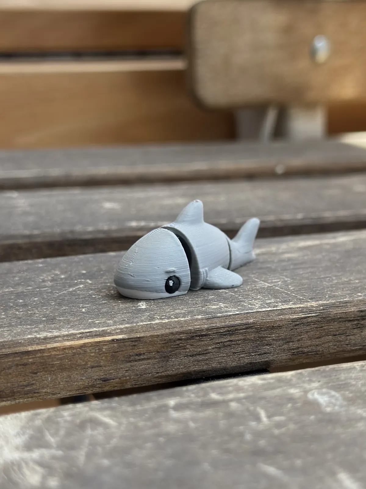 Shark — our photo of the real toy