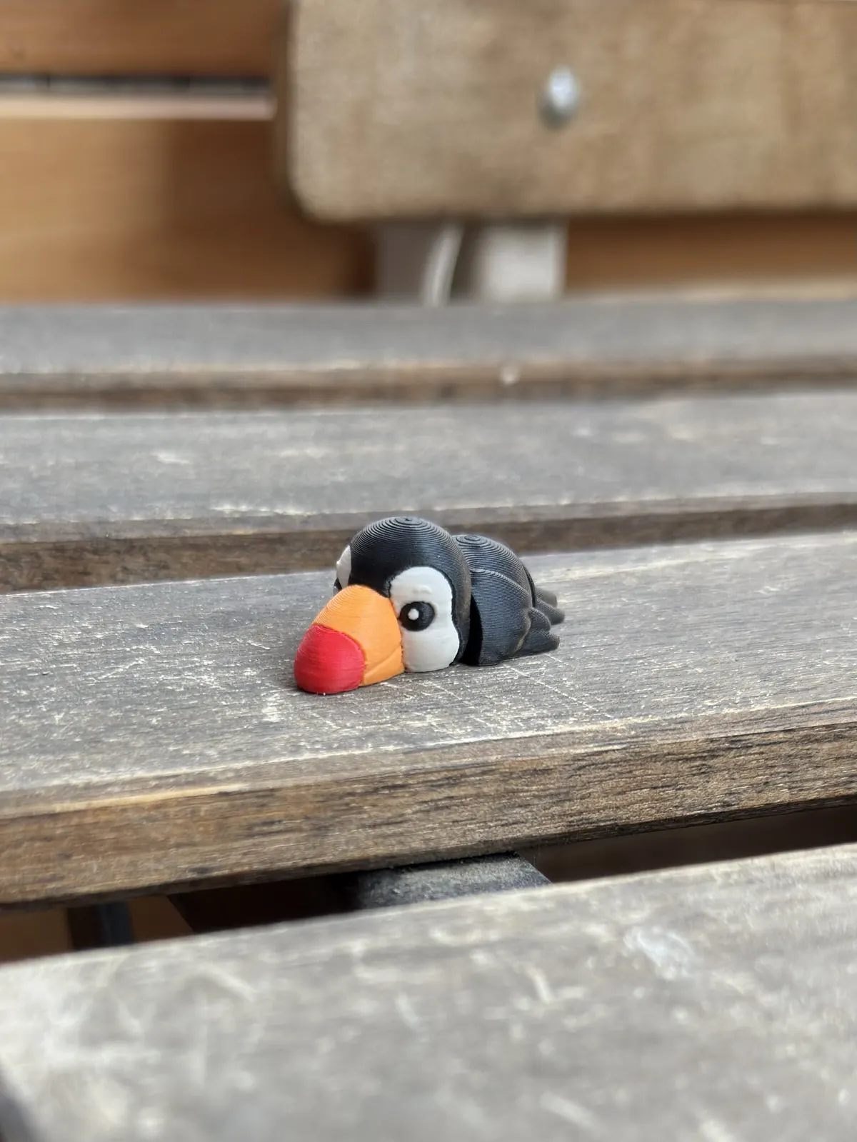 Toucan — our photo of the real toy