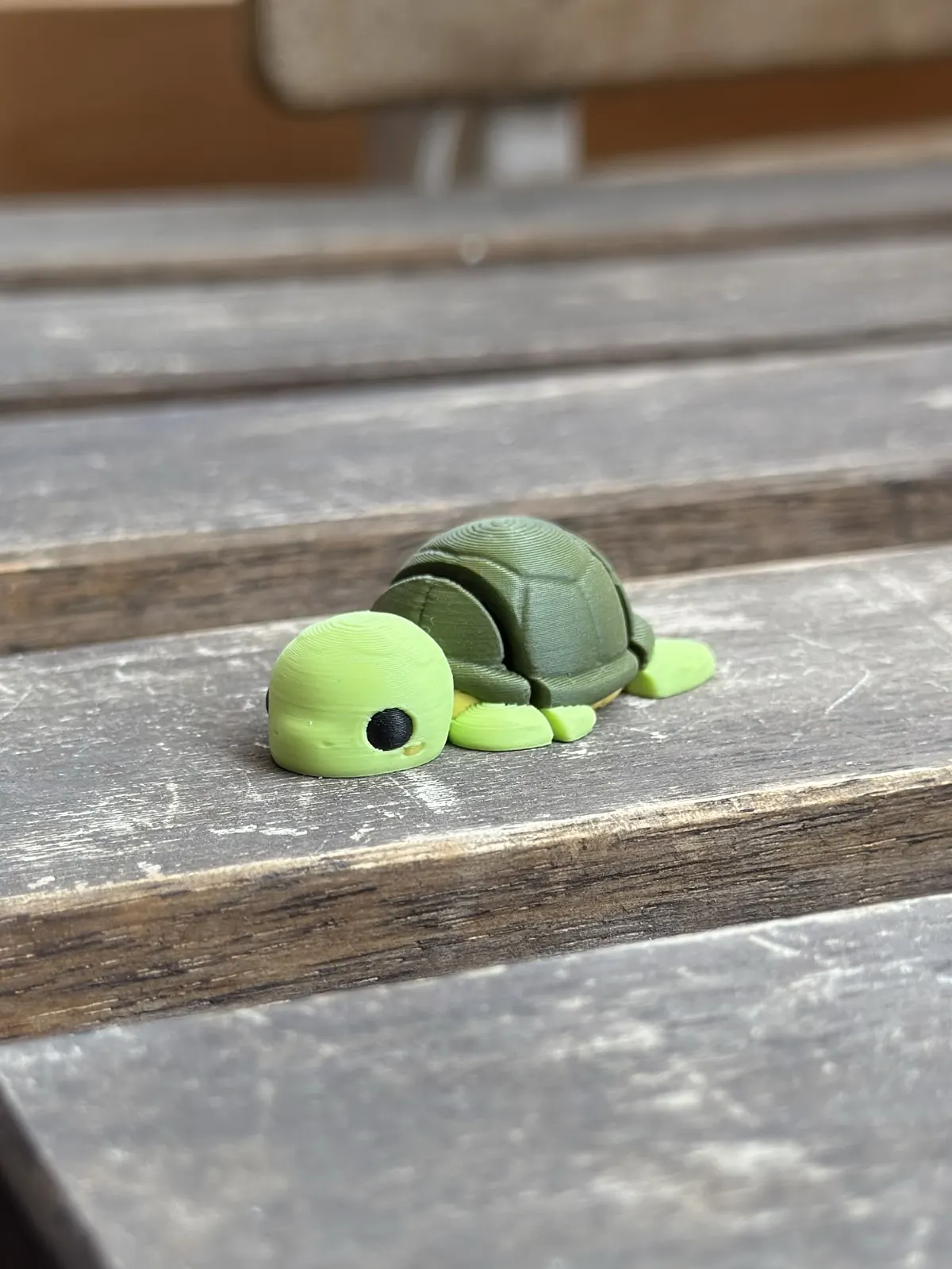 Turtle — our photo of the real toy