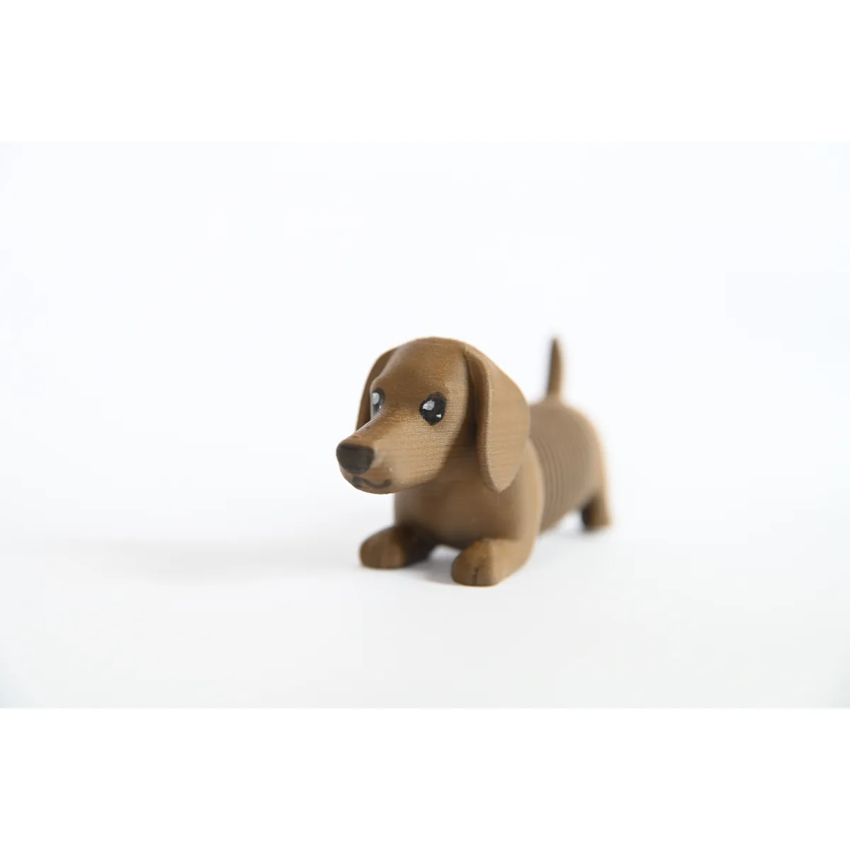 Sausage Dog Spring Toy — close up