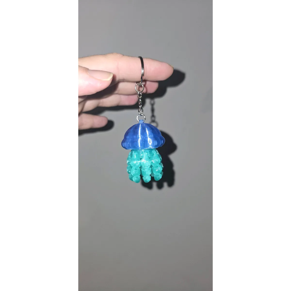 Sea Jellyfish — close up
