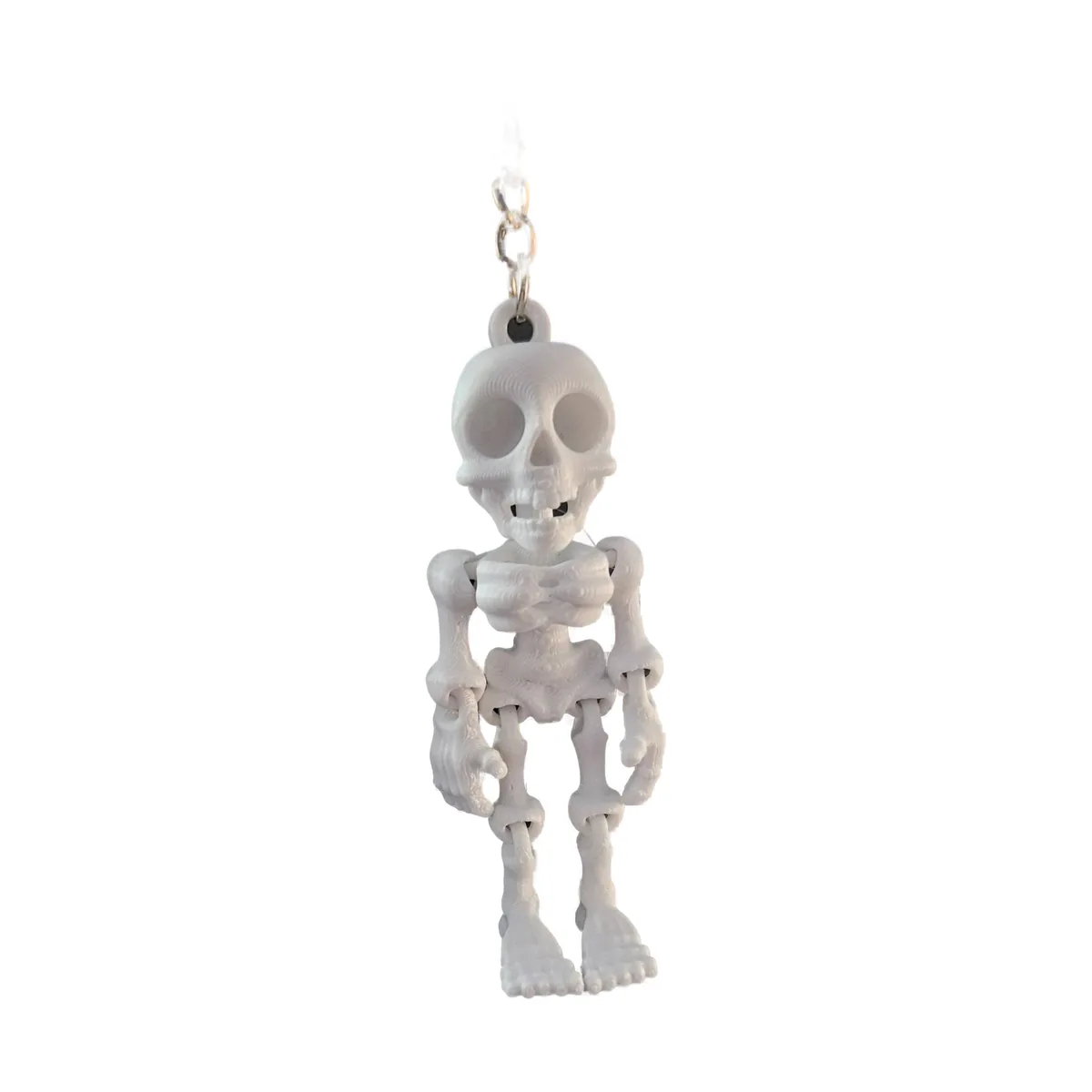 Flexi Skeleton — close up