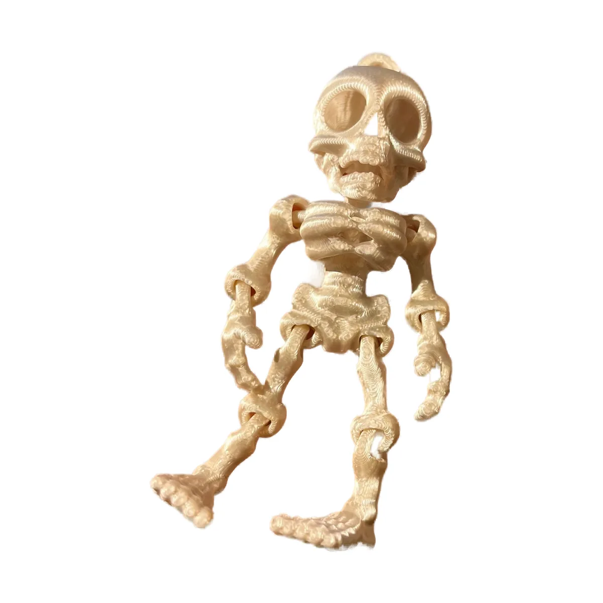 Flexi Skeleton — close up