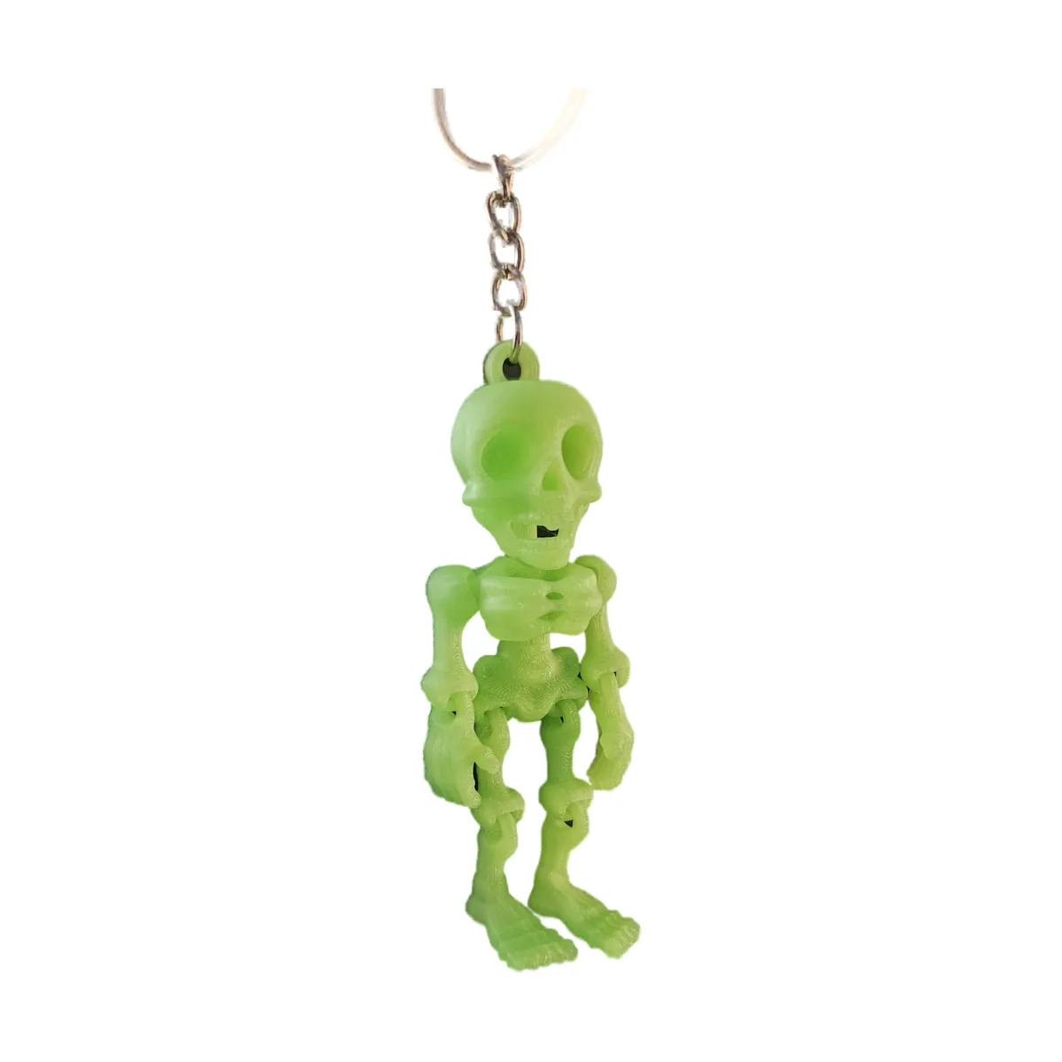 Flexi Skeleton — close up